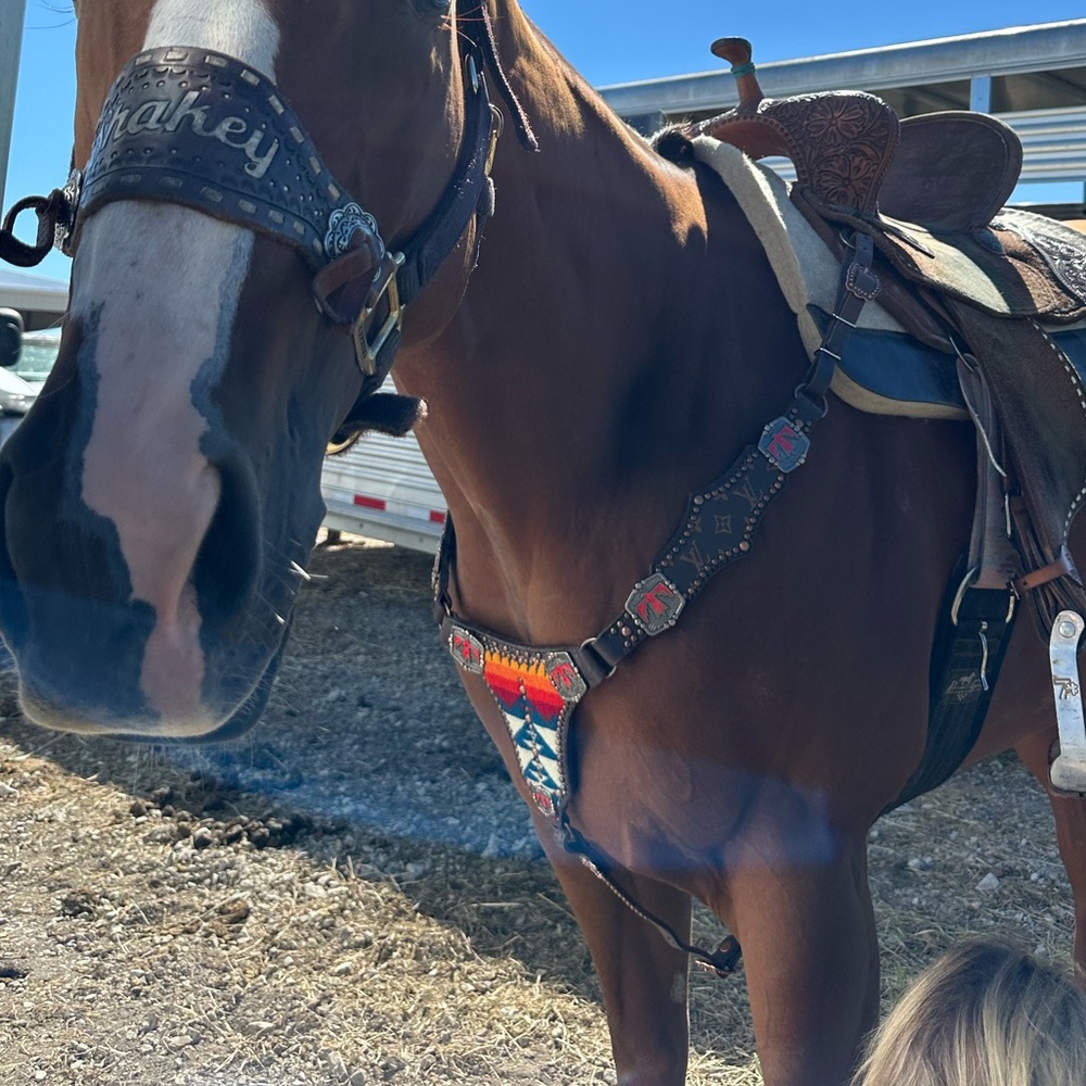 Custom made tack set - Picture 3 of 4
